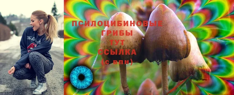 цены наркотик  Гремячинск  гидра ONION  Галлюциногенные грибы MAGIC MUSHROOMS 